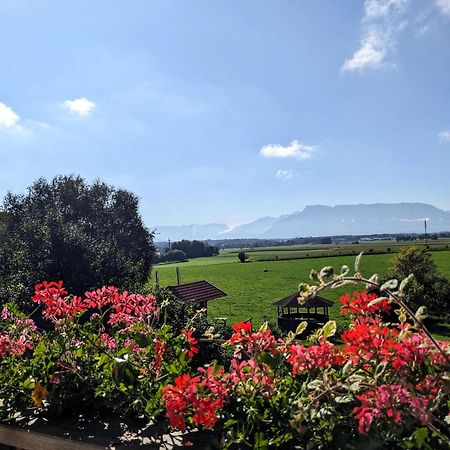 Ferienwohnungen Auf Dem Paulbauernhof Triebenbach 외부 사진